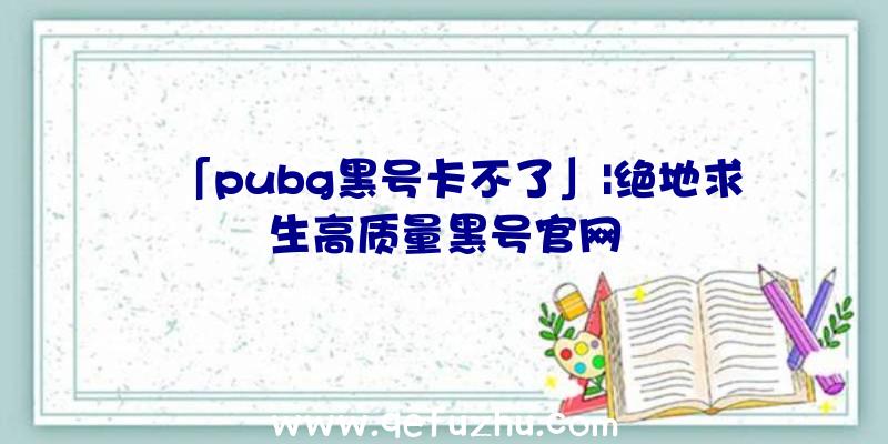 「pubg黑号卡不了」|绝地求生高质量黑号官网